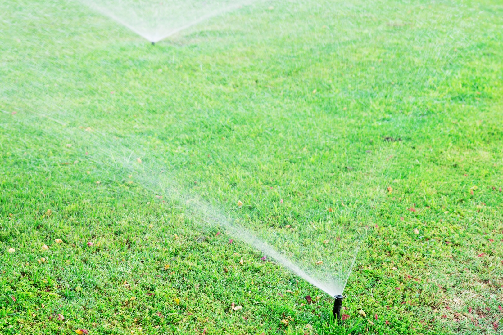 Sprinkler in garden watering the lawn. Automatic watering lawns concept.